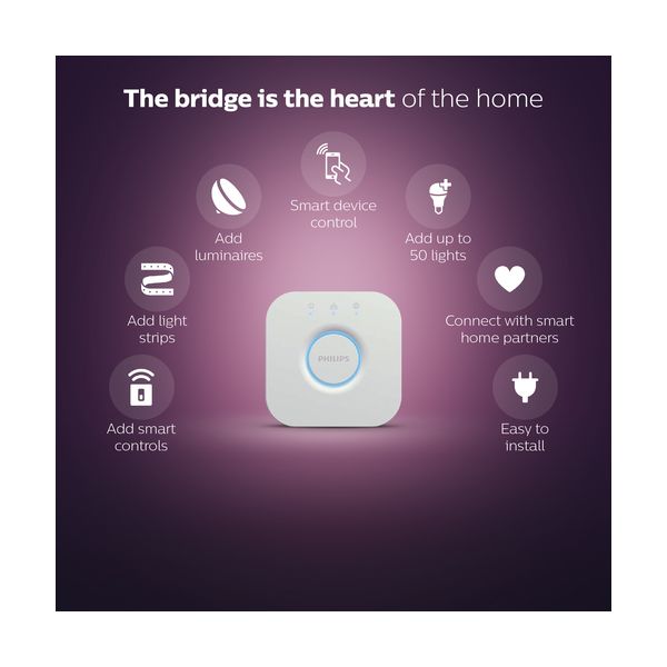 Philips Hue Lily Outdoor Spotlight Base Kit with Bridge Starter kit