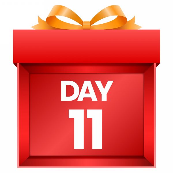 Day 11