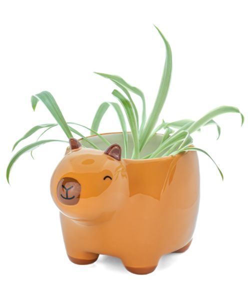 Capybara Planter