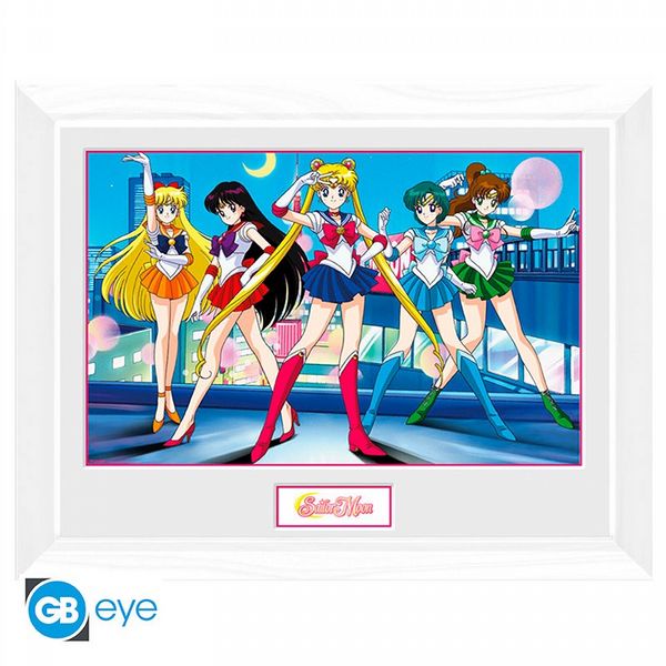 Sailor Moon Group 30 x 40cm Framed Collector Print