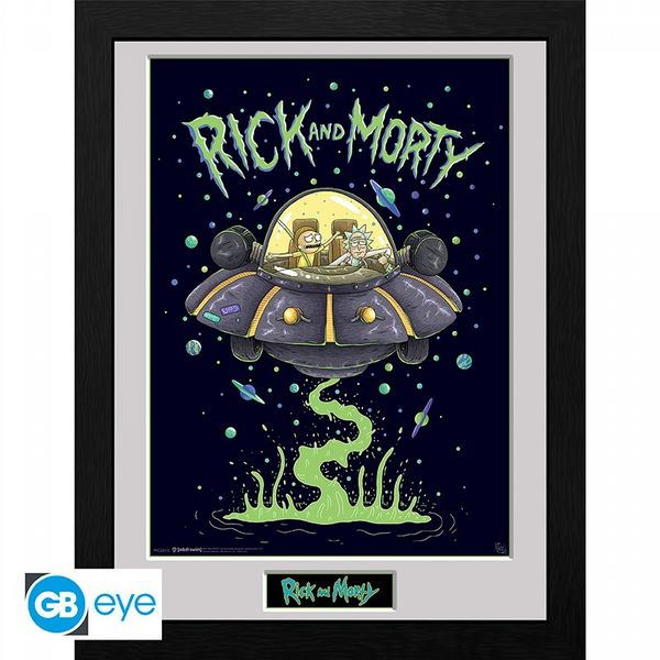 Rick & Morty Ship 30 x 40cm Framed Collector Print